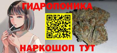 прущий лед Гатчина