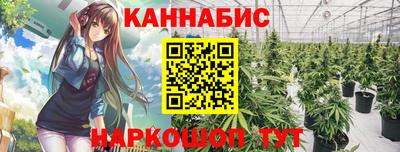 индика Гай