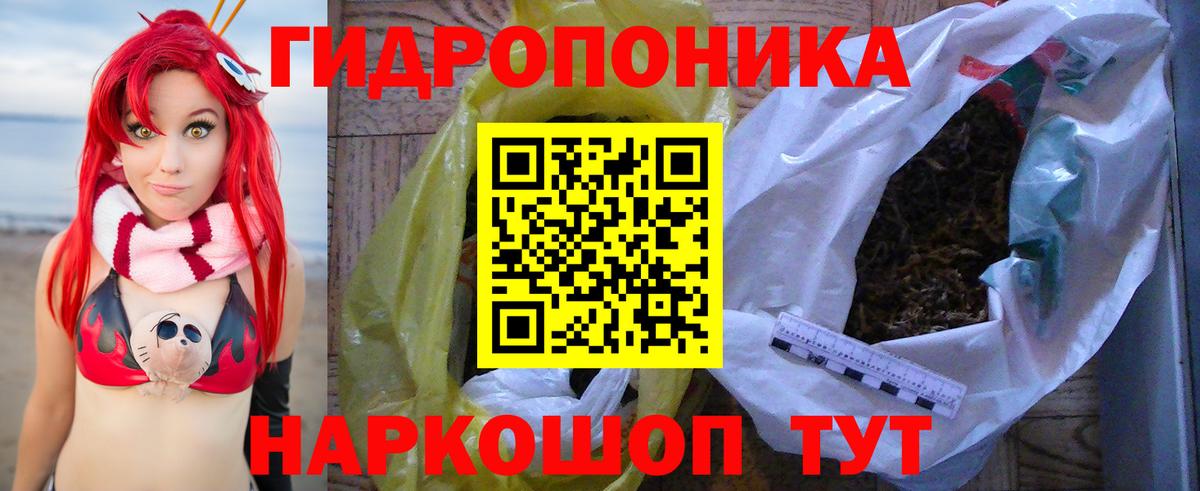 Бошки Шишки ГИДРОПОН  Вход с VPN  Конопля Amnesia  Бошки Шишки AK-47  Орёл  Конопля MAZAR 